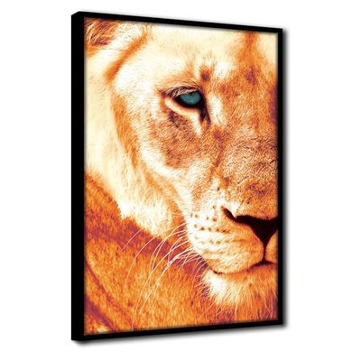 Quadro Decorativo Textura Cx Alta Leoa Cores 1 Pç 40x60