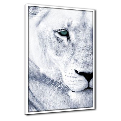 Quadro Decorativo Textura Cx Alta Leoa Cores 1 Pç 40x60