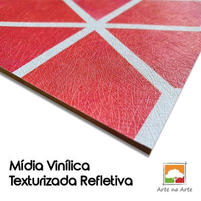 Quadro Decorativo Textura Cx Alta Leoa Cores 1 Pç 40x60