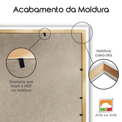 Quadro Decorativo Textura Cx Alta Leoa Cores 1 Pç 40x60