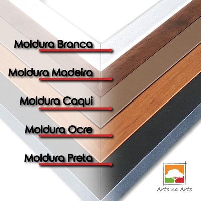 Quadro Decorativo Textura Cx Alta Leoa Cores 1 Pç 40x60