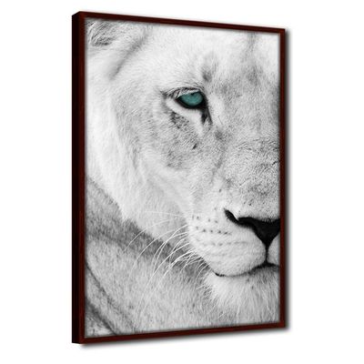 Quadro Decorativo Textura Cx Alta Leoa Cores 1 Pç 40x60