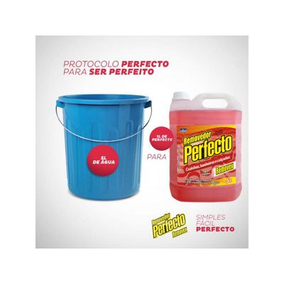 Limpa Pisos Azulejos Encardidos Perfecto Removex 5l Criviall