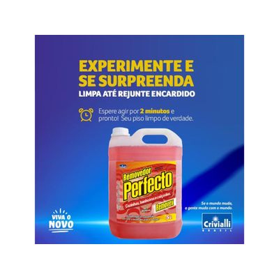 Limpa Pisos Azulejos Encardidos Perfecto Removex 5l Criviall
