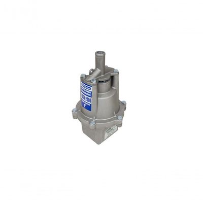 Motobomba Vibratória Submersa Tipo Sapo 360W Ebsv-1500 Eletroplas 220V