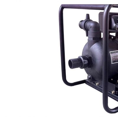 Motobomba Diesel 2'' Paraquímicos 7cv 306cc P Manual Buffalo