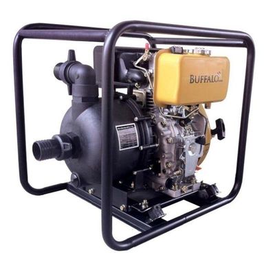 Motobomba Diesel 2'' Paraquímicos 7cv 306cc P Manual Buffalo