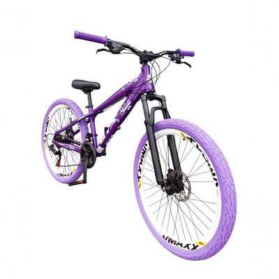 Bicicleta 26 Gta Rebel Freeride Cor Roxo 21v Aros Vmaxx Freio Disco Pneu Flame Roxo