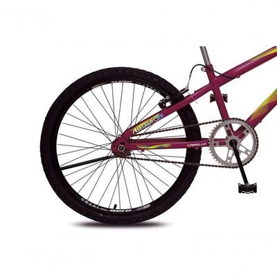 Bicicleta Allegra City Aro 24 Sem Marchas Freios V-brake E Cestão Colli Roxo