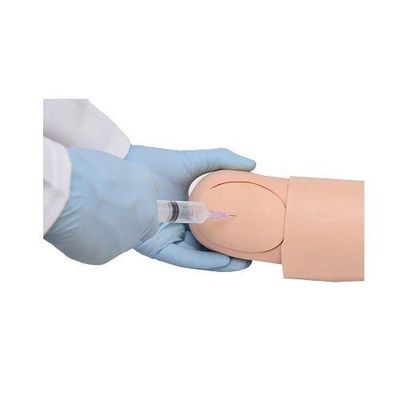 Braço Treino de Injeção I.V e I.M Simulador Médico