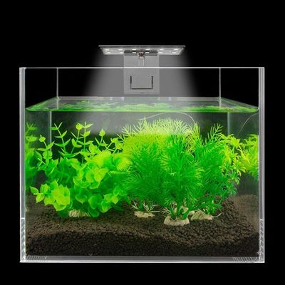 Luminária Para Aquário Lorben 12 Led Branco Frio 6500k X3 5w Bivolt