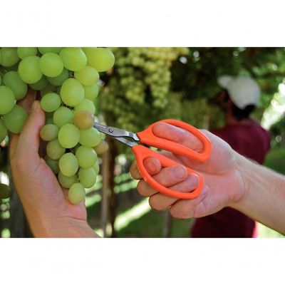 Tesoura Para Frutas Tramontina Com Lâminas Em Aço Inox