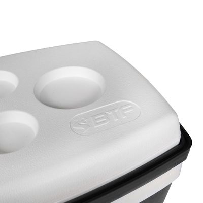 Caixa Térmica Botafogo CXT0226 Preta 26L UNICA