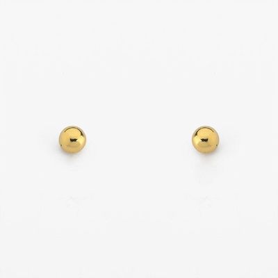 Brincos Banhados A Ouro 18k