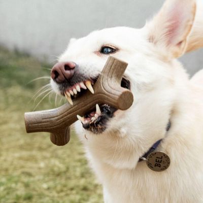 Mordedor Aromatizado De Carne Para Cães - Grauveto Galho By Germanhart