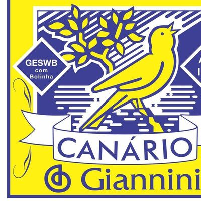 Encordoamento para Violao GESWB Serie Canario ACO 0.11 Giannini