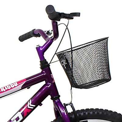 Bicicleta Aro 24 Feminina Mono Sem Marcha Com Cesta Saidx Violeta