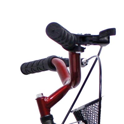 Bicicleta Aro 20 Bike Infantil Meninas Feminina Com Cesta Saidx Vermelho