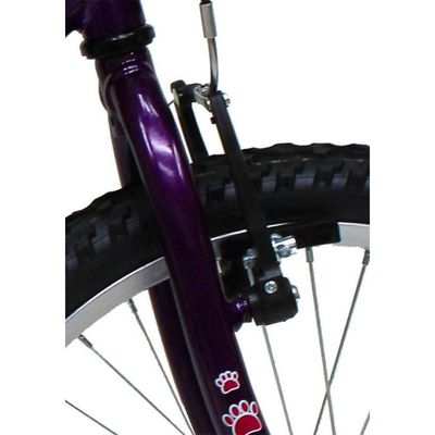 Bicicleta Aro 20 Bike Infantil Meninas Feminina Com Cesta Saidx Violeta