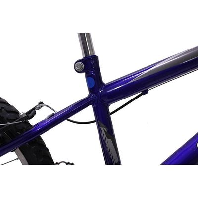 Bicicleta Aro 20 Bike Infantil Meninos Masculino Saidx Azul