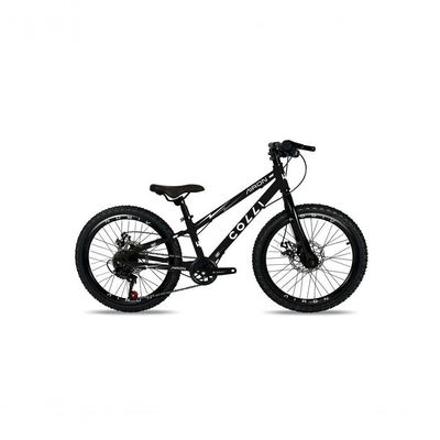 Bicicleta Colli Airon Aro 20 Freio A Disco Preto