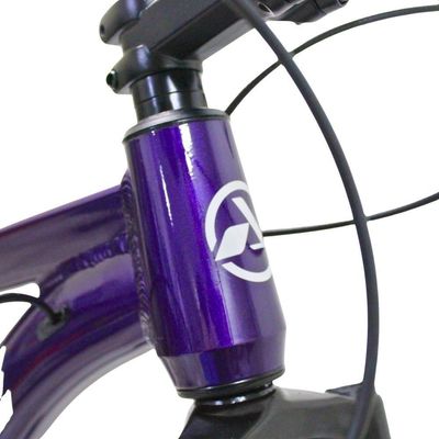 Bicicleta Aro 29 Absolute 21 Marchas Quadro Alumínio Freio A Disco Mtb - Roxo - 17 Roxo