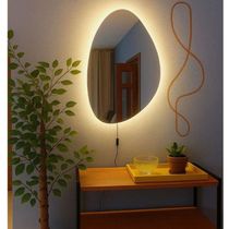 Espelho Orgânico Com LED À Pilha Ou Fonte Decorativo Quente A Fonte 51x80