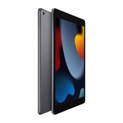 iPad 9ª geração Apple, 10.2", 256GB, A13 Bionic, Wi-Fi, Cinza Espacial