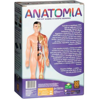Jogo Educativo Anatomia Corpo Humano - Grow 4751