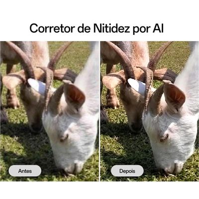 Smartphone OPPO A5 5G Tela 6.67" 256GB 8GB RAM Câmera 50MP Branco