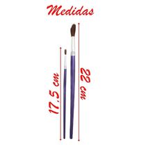 Kit 6 Pincéis Japonês Para Pintura Artística Escolar