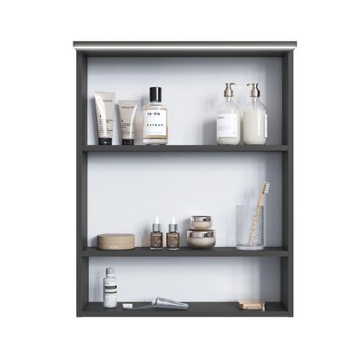 Armário Espelheira para Banheiro com 2 Portas e Iluminação Led ES8040 Grafite