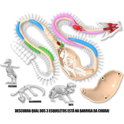 Kit de Dissecação Dissect-It Super Lab - Cobra
