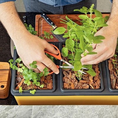 Tesoura para Frutas Tramontina com Lâminas em Aço Inox - 18,6cm