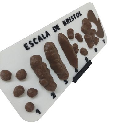 Escala De Bristol com Suporte Tabela Fezes Cocô 3D com Números