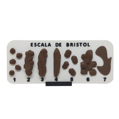 Escala De Bristol com Suporte Tabela Fezes Cocô 3D com Números