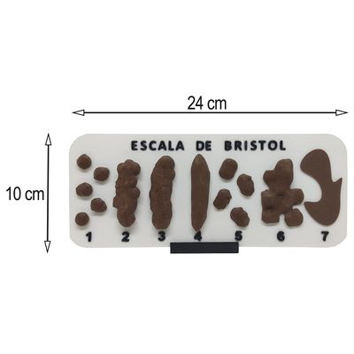 Escala De Bristol com Suporte Tabela Fezes Cocô 3D com Números