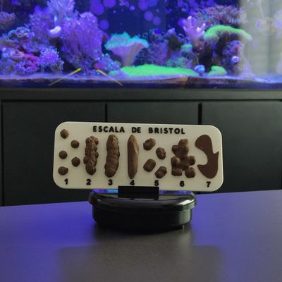 Escala De Bristol com Suporte Tabela Fezes Cocô 3D com Números