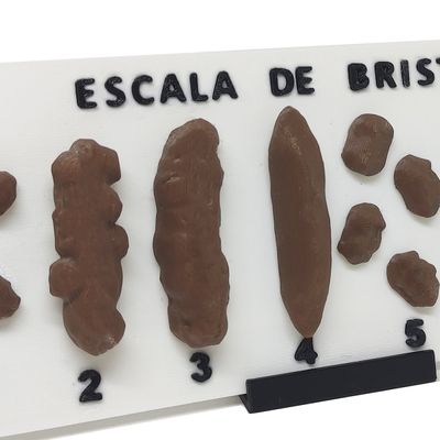 Escala De Bristol com Suporte Tabela Fezes Cocô 3D com Números