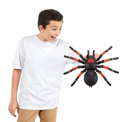Aranha Gigante Robo Alive
