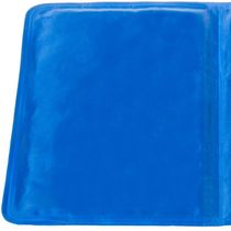 Tapete Gelado Pet Cães E Gatos Tamanho M 40x50cm Azul