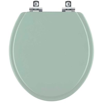 Assento Sanitário Soft Close Convencional Oval Verde Agua Para Vaso Celite