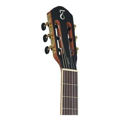 Violão Tagima Paraty Clássico Nylon Natural Satin [f002]