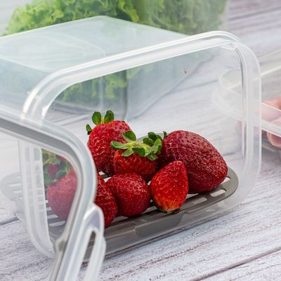 Pote Hermetico Porta Frios Frutas Trava Plastico BPA Free 2un