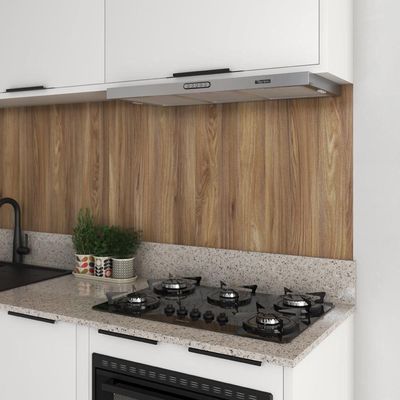 Depurador Terim Compact New Embutir Inox 75 cm Inox 220V