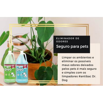 Eliminador de maus odores e higienizador cães gatos pet Dr. Dog Verbena 2 litros concentrado