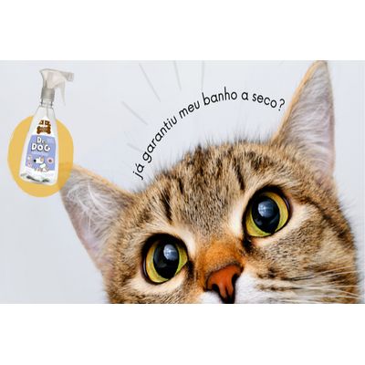 Combo  Pente Escova Pet Tira Pelos Silicone Tanque Verde + Banho Seco Pet 500ml