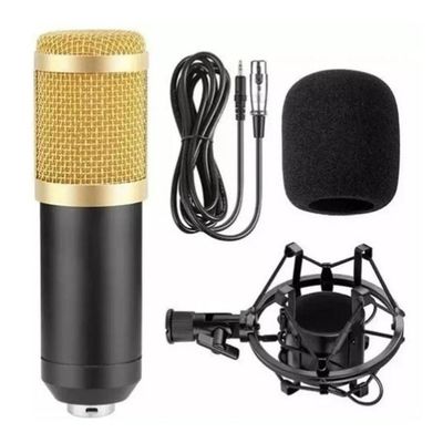 Kit Microfone Studio Gravação BM-800 + Pop Filter + Aranha + Braço Articulado