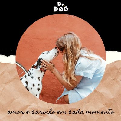 Kit Banho e tosa Shampoo e Condicionador 5Litros desmaio de fios profissional seca rápido Dr. Dog