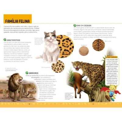 UM INCRÍVEL KIT DE ANIMAIS - CIRANDA CULTURAL